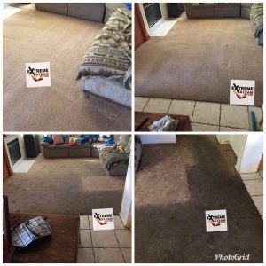 residential-carpet-cleaning